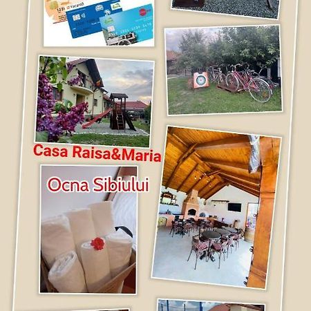 Casa Raisa & Maria Hotel Ocna Sibiului Exterior foto