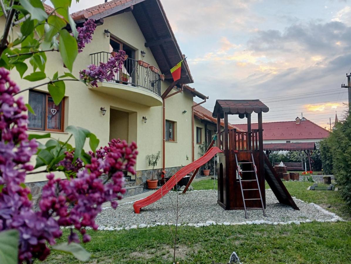 Casa Raisa & Maria Hotel Ocna Sibiului Exterior foto